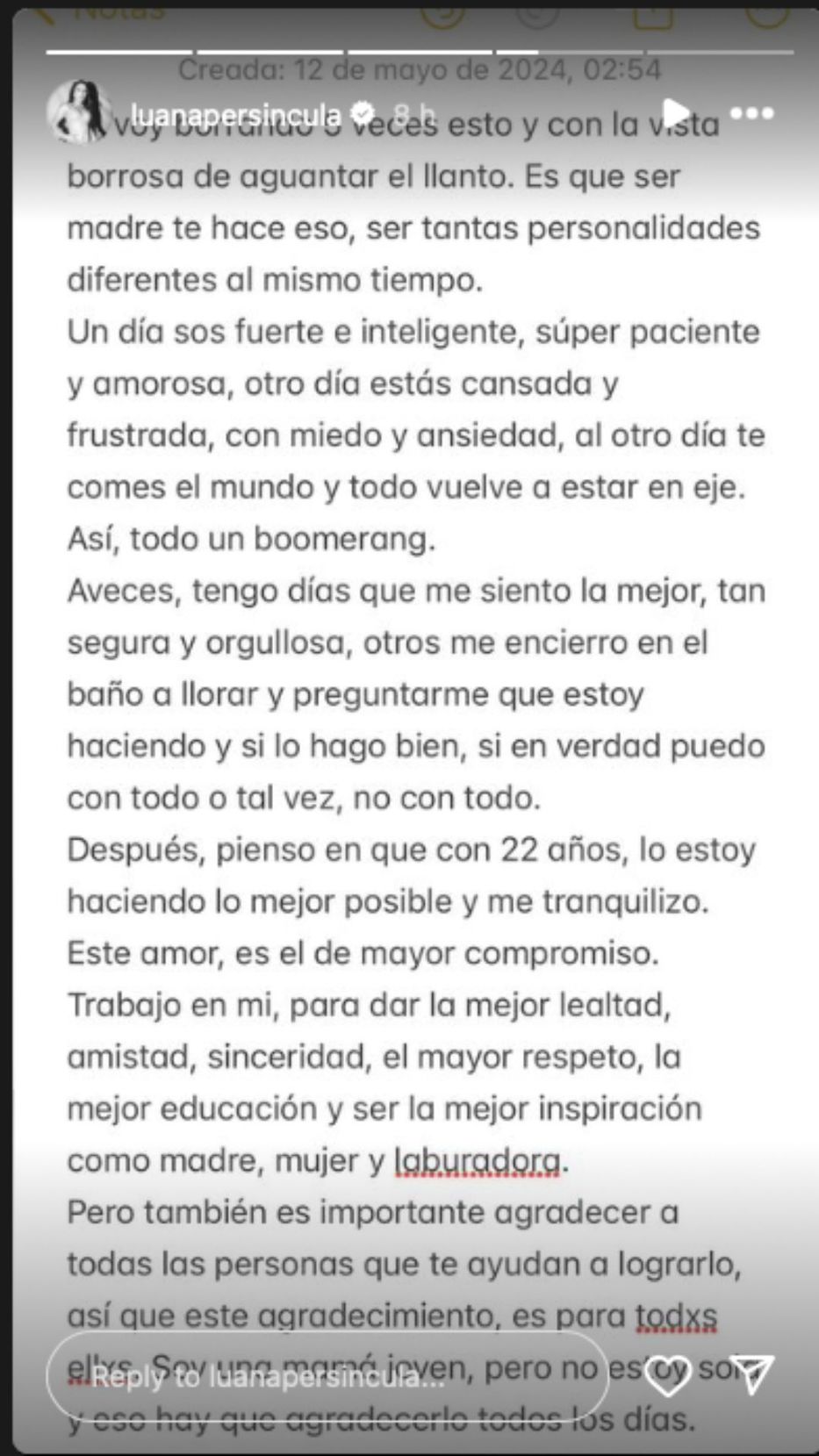 Foto: Historias de Instagram/ @luanapersincula