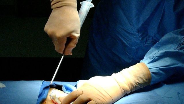 Una mirada por dentro