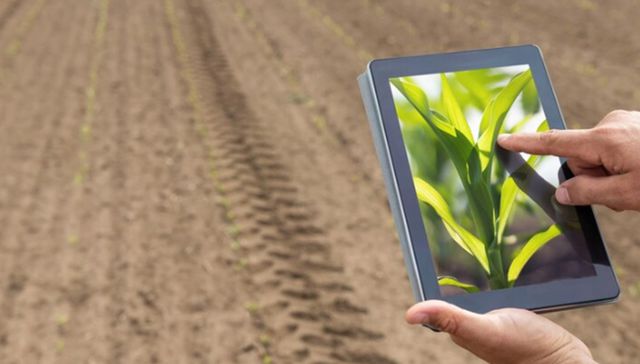 Artificyan y Rubrica impulsarán la innovación agropecuaria en contexto de cambio climático