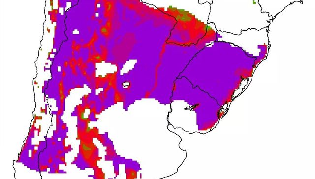 Pobre del nabo fuera de la tierra