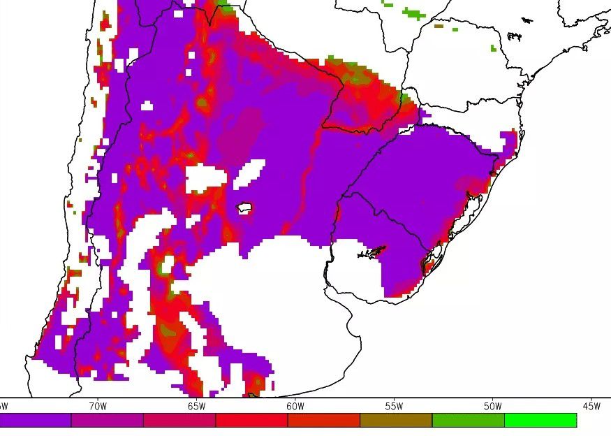 Pobre del nabo fuera de la tierra