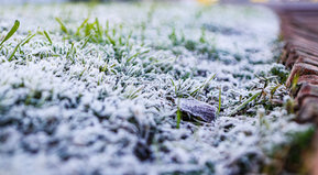 Winter is coming