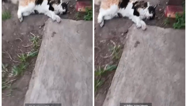 También llamada hidrofobia