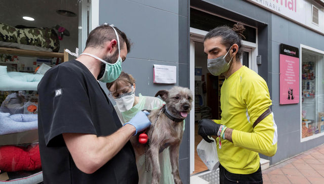 Cuidado con el animal