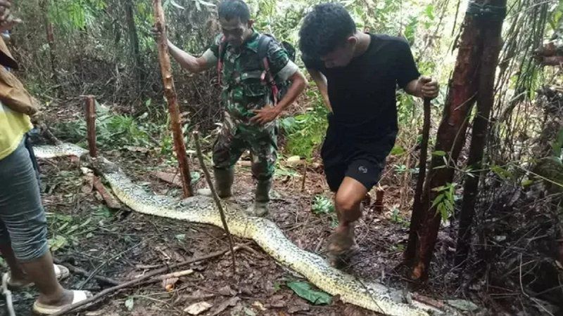 Naturaleza salvaje