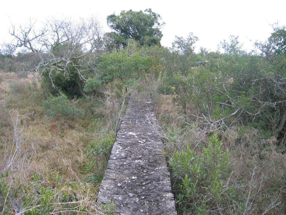 Aplausos