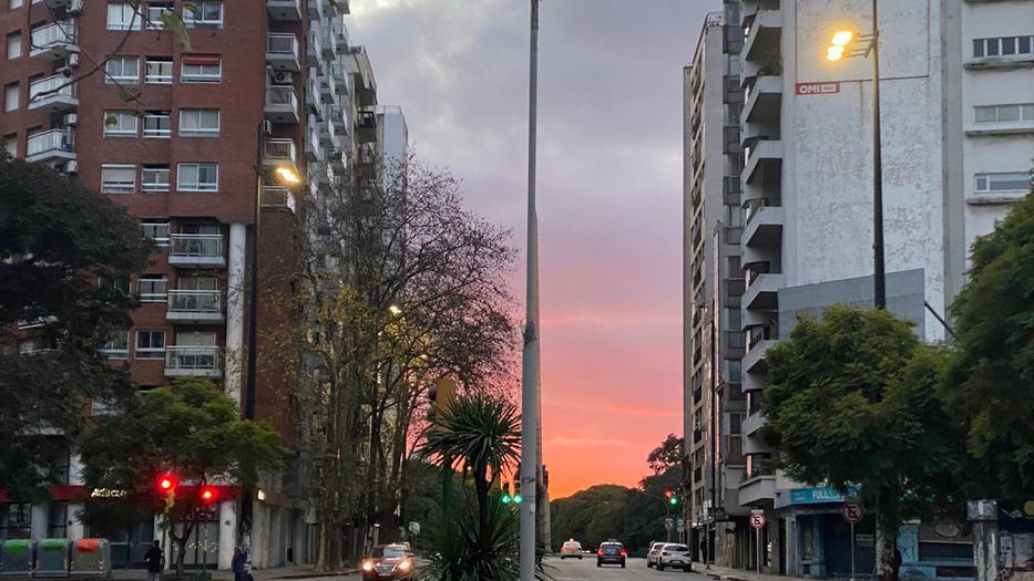 Amaneció el patriota