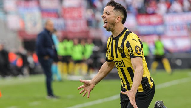 Sin pelos en la lengua