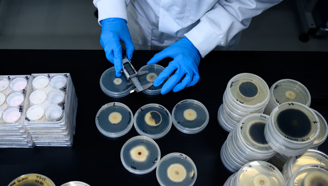 Por The New York Times