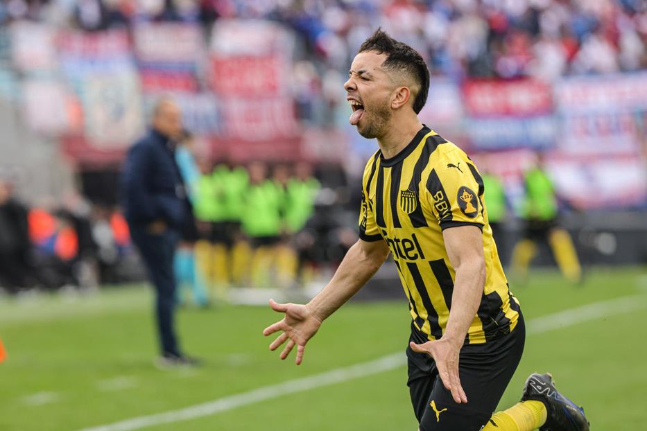 Sin pelos en la lengua