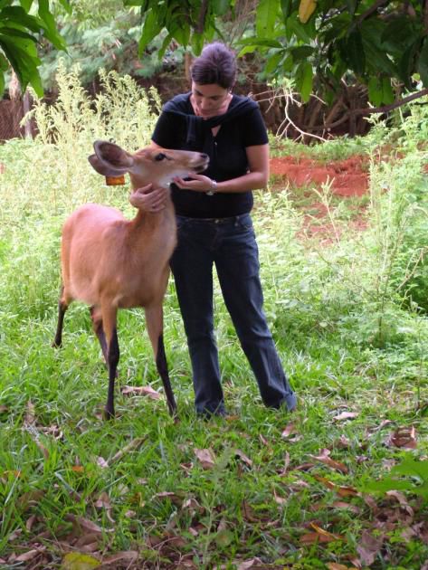 Susana González junto a una hembra de ciervo de los pantanos, en el Nupecce, Unesp