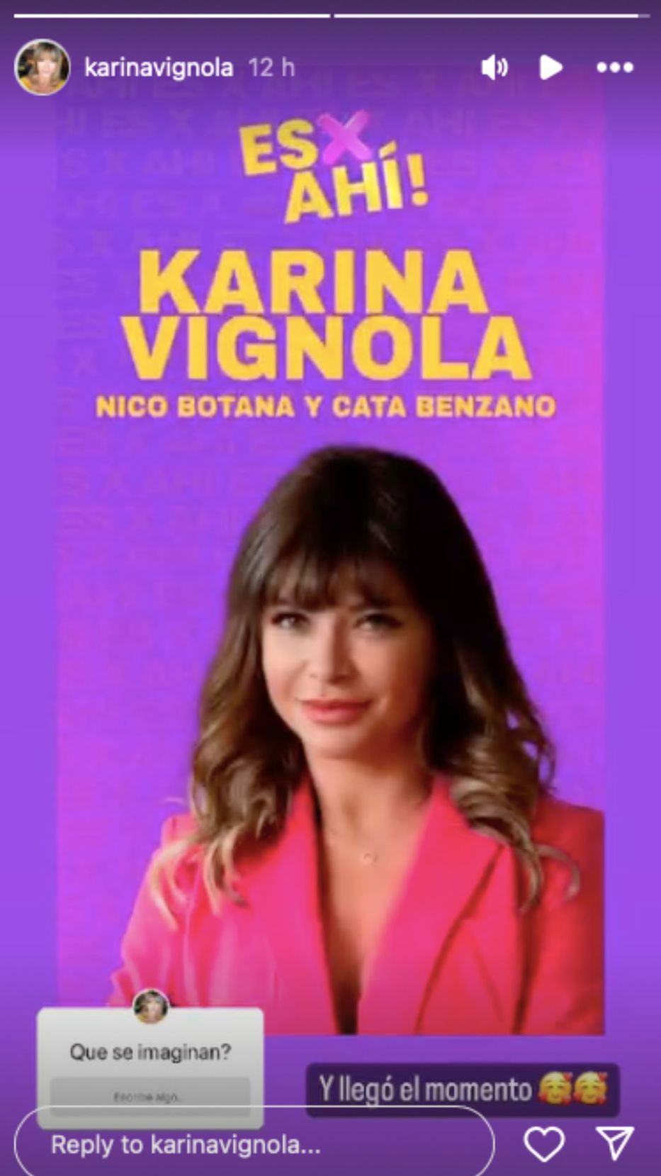 Foto: Historias de Instagram/ @karinavignola