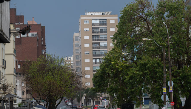 Alergia en abundancia