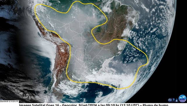 Gris es todo lo que hay