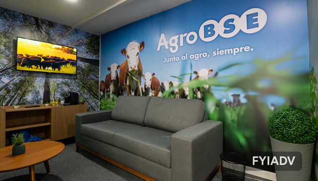 Protegidos bajo sol y sombra