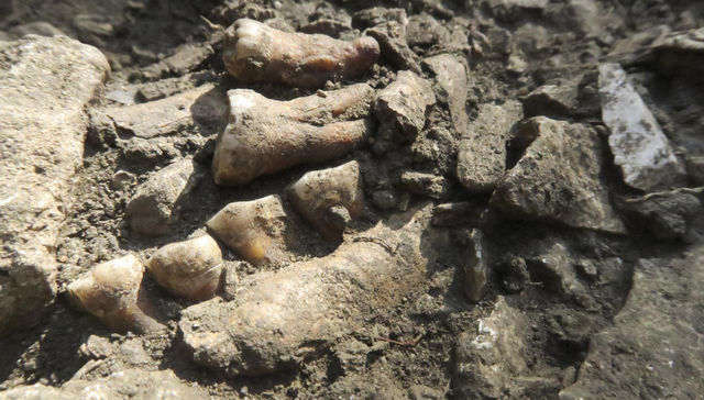 Discretos y reservados