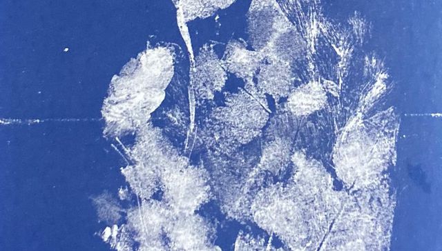 Una cartografía acuática