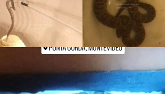 Un julepe de aquellos