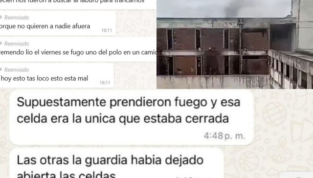 Bajo pericia