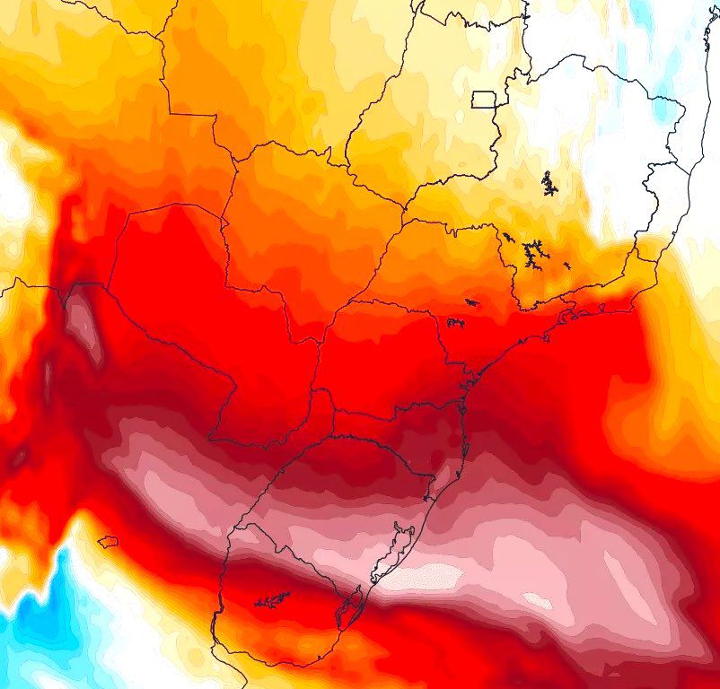 Sacá los cortos