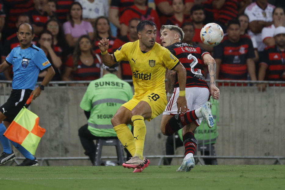 Florece en primavera