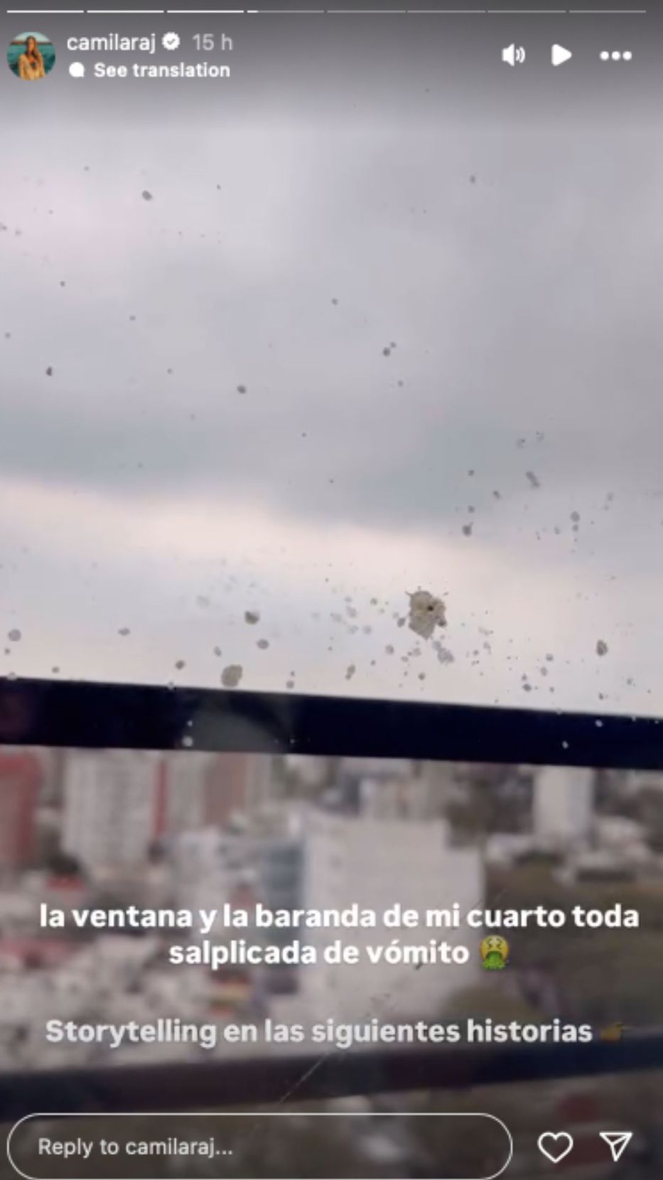 Foto: Historias de Instagram/ @camilaraj