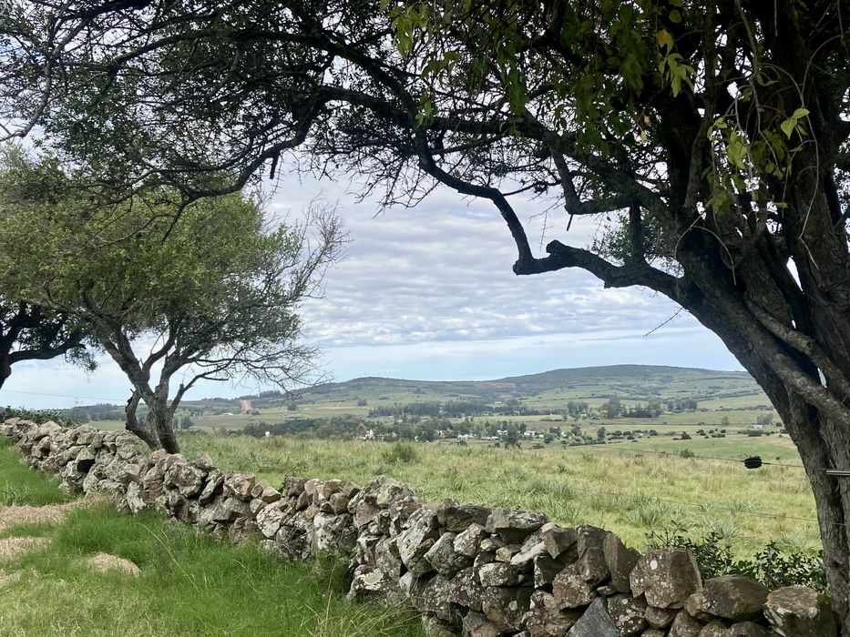 Nacimiento del Uruguay moderno (23)