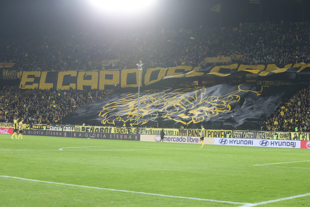 Libertadores: Peñarol definió precios de abonos para socios en partidos de local en CDS