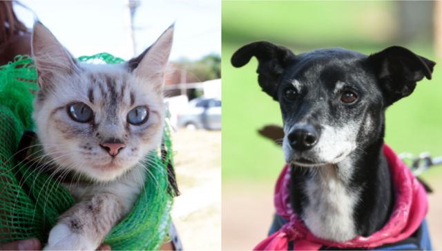 Con los bichos no eh