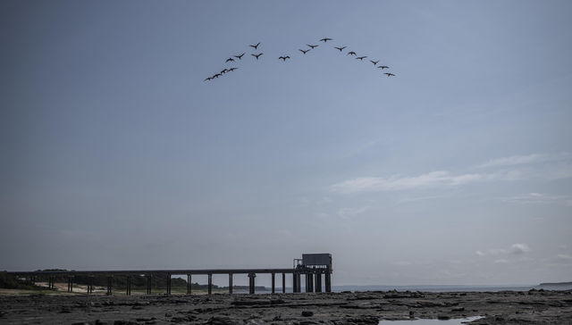 Por The New York Times