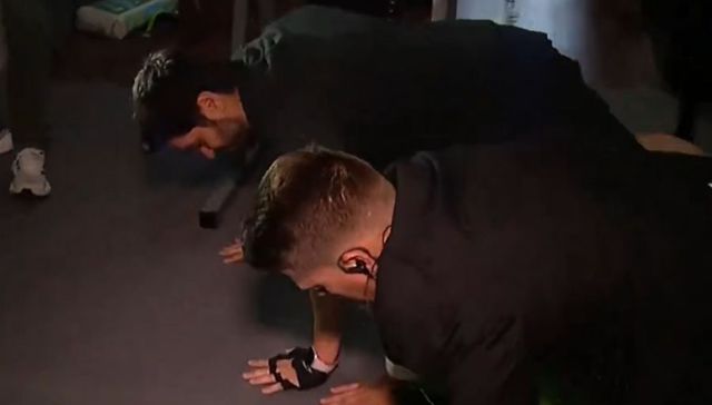 Never pony electoral