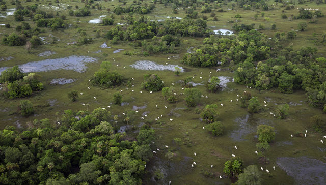 Por The New York Times