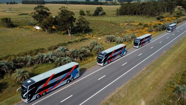 Colonia Express y COT unen sus servicios: en qué consiste esta alianza