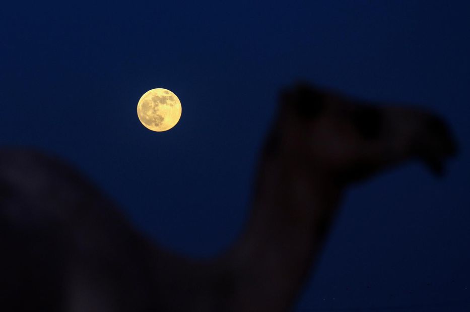 Luna del Cazador en Dubai. EFE/EPA/ALI HAIDER