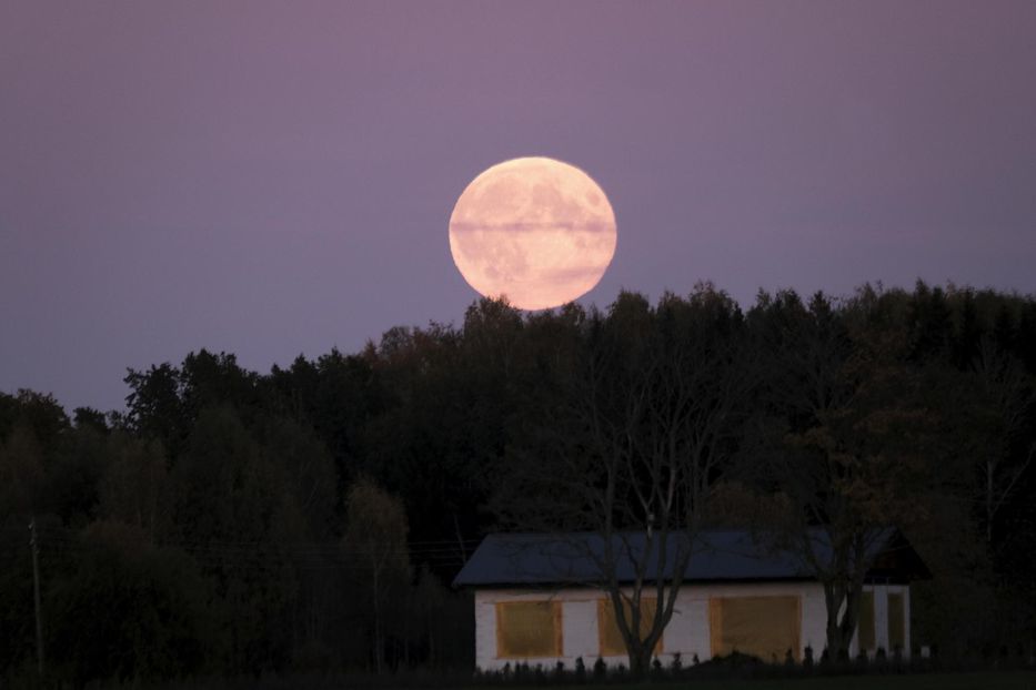 Luna del Cazador en Riga, Letonia. EFE/EPA/VALDA KALNINA