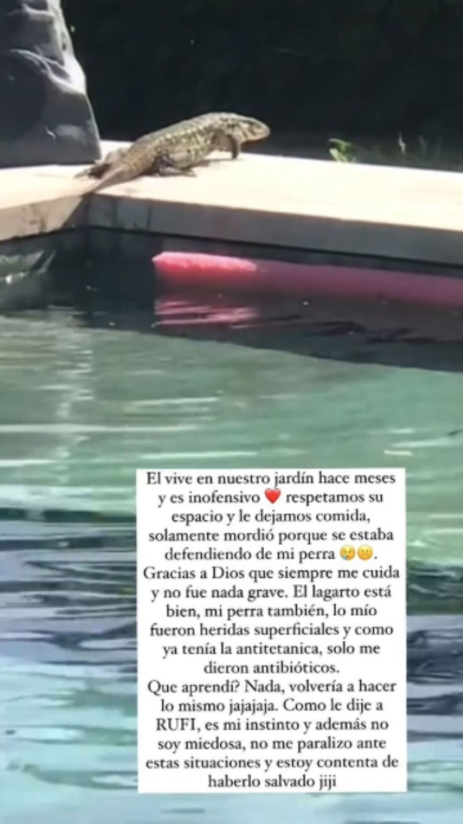 Foto: Historias de Instagram/ @sangrejaponesa