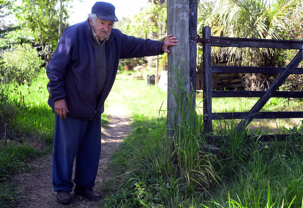 El expresidente José Mujica en su chacra. Dante Fernández : FocoUy (archivo).