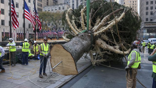 Ese momento del año