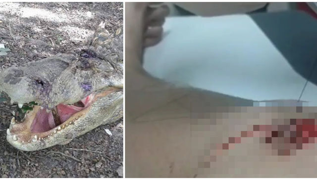 La criatura del pantano