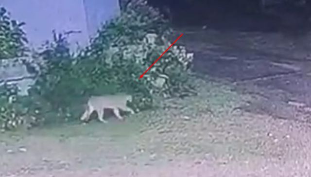 Agárrenlo de las manos