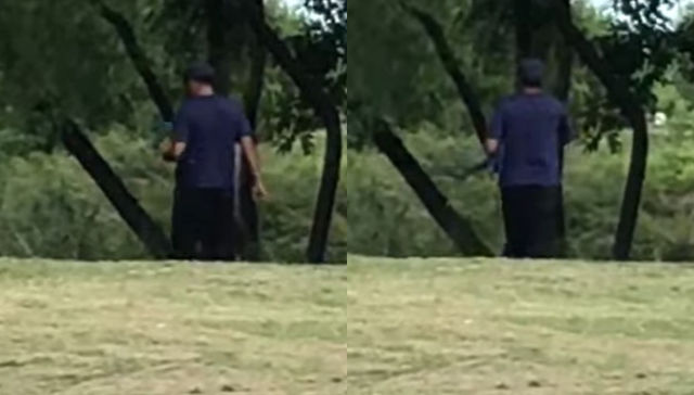 No se salva ni el loro