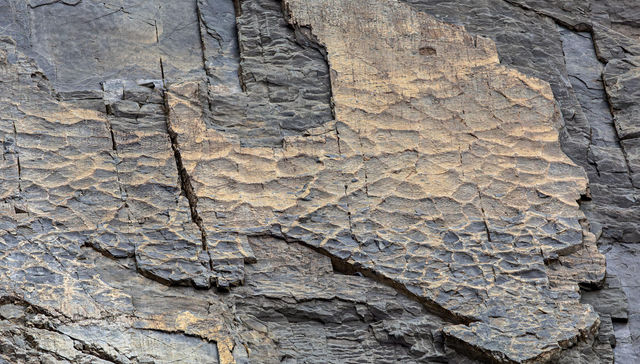 Secreto en la montaña