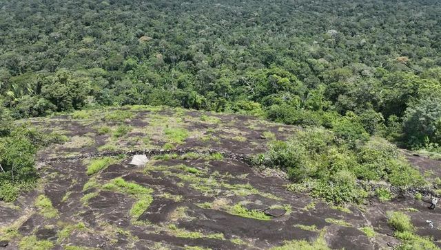 Reclamada por la naturaleza