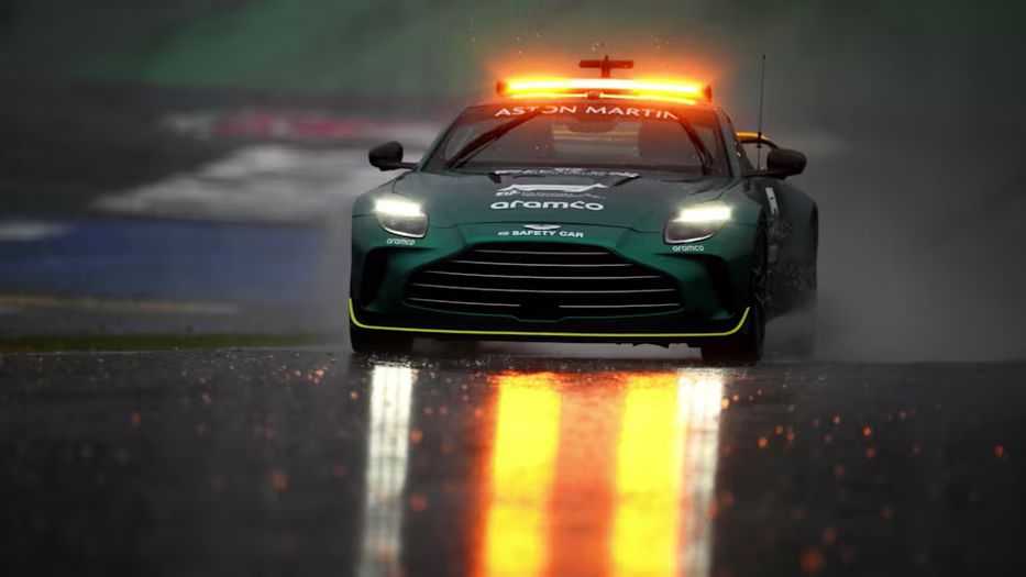 Caen pingüinos de punta