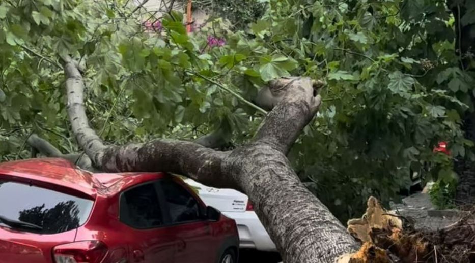 Lo que el viento se llevó