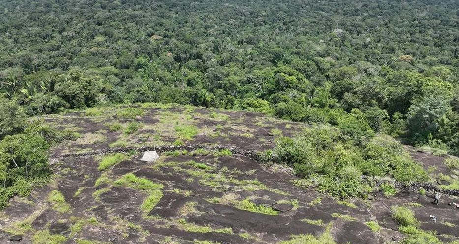 Reclamada por la naturaleza