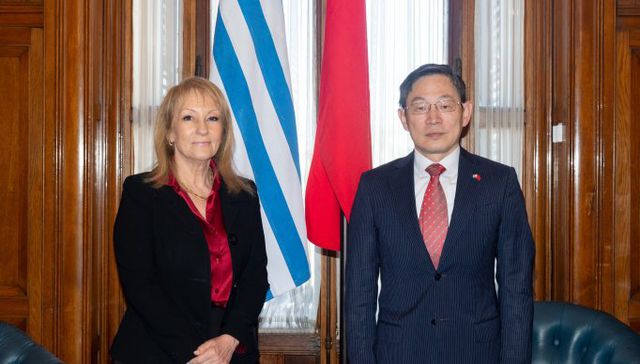 Colectivo / individuo