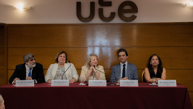UTE anunció emisión de obligaciones negociables para segundo parque solar fotovoltaico