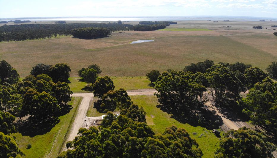 M38 aérea. Foto: cedida a Montevideo Portal