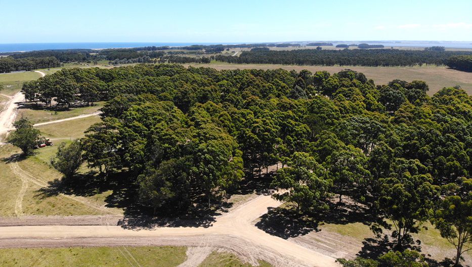 M39 aérea. Foto: cedida a Montevideo Portal